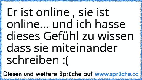 Er ist online , sie ist online... und ich hasse dieses Gefühl zu wissen dass sie miteinander schreiben :( ♥