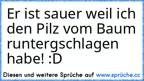 Er ist sauer weil ich den Pilz vom Baum runtergschlagen habe! :D