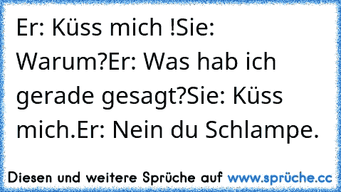 Er: Küss mich !
Sie: Warum?
Er: Was hab ich gerade gesagt?
Sie: Küss mich.
Er: Nein du Schlampe.