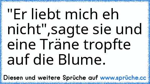 "Er liebt mich eh nicht",sagte sie und eine Träne tropfte auf die Blume.