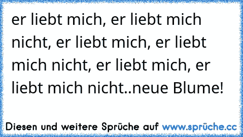 er liebt mich, er liebt mich nicht, er liebt mich, er liebt mich nicht, er liebt mich, er liebt mich nicht..
neue Blume!