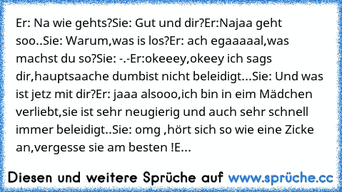 Er: Na wie gehts?
Sie: Gut und dir?
Er:Najaa geht soo..
Sie: Warum,was is los?
Er: ach egaaaaal,was machst du so?
Sie: -.-
Er:okeeey,okeey ich sags dir,hauptsaache dumbist nicht beleidigt...
Sie: Und was ist jetz mit dir?
Er: jaaa alsooo,ich bin in eim Mädchen verliebt,sie ist sehr neugierig und auch sehr schnell immer beleidigt..
Sie: omg ,hört sich so wie eine Zicke an,vergesse sie am besten ...