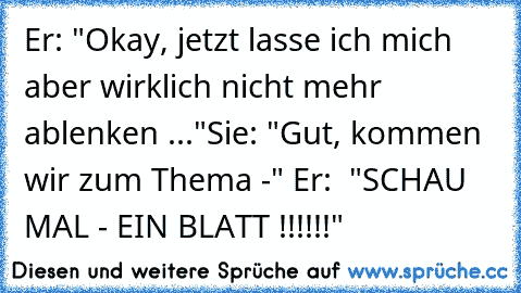 Er: "Okay, jetzt lasse ich mich aber wirklich nicht mehr ablenken ..."
Sie: "Gut, kommen wir zum Thema -" 
Er:  "SCHAU MAL - EIN BLATT !!!!!!"