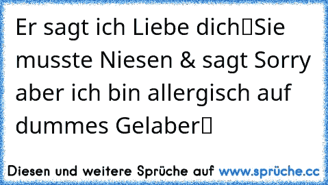 Er sagt „ich Liebe dich“
Sie musste Niesen & sagt „Sorry aber ich bin allergisch auf dummes Gelaber“