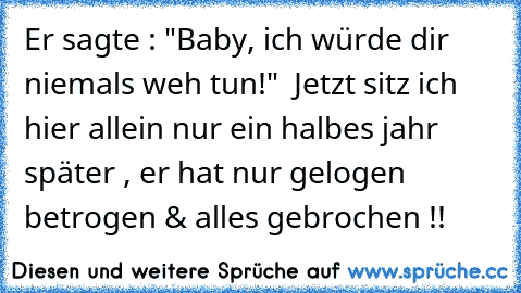 Er sagte : "Baby, ich würde dir niemals weh tun!"  Jetzt sitz ich hier allein nur ein halbes jahr später , er hat nur gelogen betrogen & alles gebrochen !!