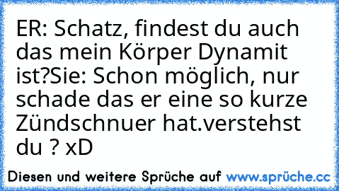 ER: Schatz, findest du auch das mein Körper Dynamit ist?
Sie: Schon möglich, nur schade das er eine so kurze Zündschnuer hat.
verstehst du ? xD