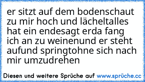 er sitzt auf dem boden
schaut zu mir hoch und lächelt
alles hat ein ende
sagt er
da fang ich an zu weinen
und er steht auf
und springt
ohne sich nach mir umzudrehen