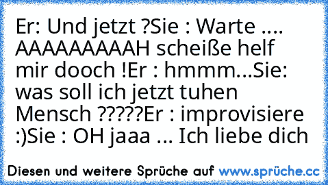 Er: Und jetzt ?
Sie : Warte .... AAAAAAAAAH scheiße helf mir dooch !
Er : hmmm...
Sie: was soll ich jetzt tuhen Mensch ?????
Er : improvisiere :)
Sie : OH jaaa ... Ich liebe dich ♥