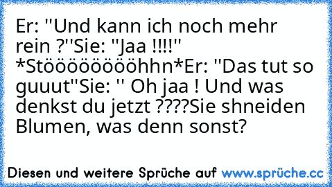 Er: ''Und kann ich noch mehr rein ?''
Sie: ''Jaa !!!!'' *Stööööööööhhn*
Er: ''Das tut so guuut''
Sie: '' Oh jaa ! ♥
Und was denkst du jetzt ????
Sie shneiden Blumen, was denn sonst?