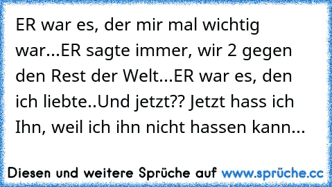 ER war es, der mir mal wichtig war...
ER sagte immer, wir 2 gegen den Rest der Welt...
ER war es, den ich liebte..
Und jetzt?? Jetzt hass ich Ihn, weil ich ihn nicht hassen kann...