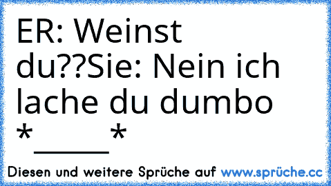 ER: Weinst du??
Sie: Nein ich lache du dumbo *_____*