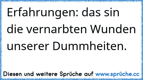 Erfahrungen: das sin die vernarbten Wunden unserer Dummheiten.