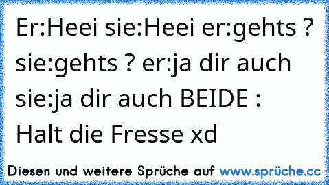 Er:Heei sie:Heei er:gehts ? sie:gehts ? er:ja dir auch sie:ja dir auch BEIDE : Halt die Fresse xd