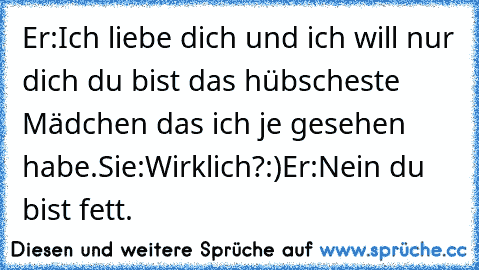 Er:Ich liebe dich und ich will nur dich du bist das hübscheste Mädchen das ich je gesehen habe.
Sie:Wirklich?:)
Er:Nein du bist fett.