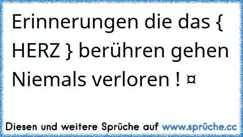 Erinnerungen die das { HERZ } berühren gehen Niemals verloren ! ❤