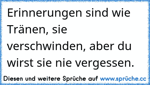 Erinnerungen sind wie Tränen, sie verschwinden, aber du wirst sie nie vergessen.