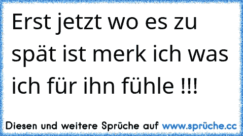 Erst jetzt wo es zu spät ist merk ich was ich für ihn fühle !!!