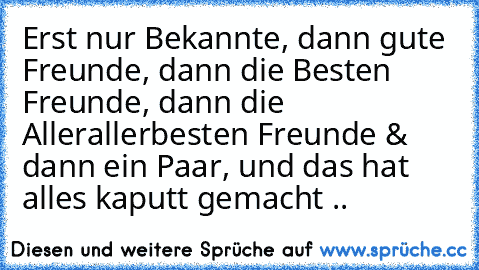 Erst nur Bekannte, dann gute Freunde, dann die Besten Freunde, dann die Allerallerbesten Freunde & dann ein Paar, und das hat alles kaputt gemacht ..