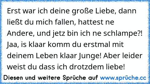 Erst war ich deine große Liebe, dann ließt du mich fallen, hattest ne Andere, und jetz bin ich ne schlampe?! Jaa, is klaar komm du erstmal mit deinem Leben klaar Junge! Aber leider weist du dass ich drotzdem liebe!  ♥