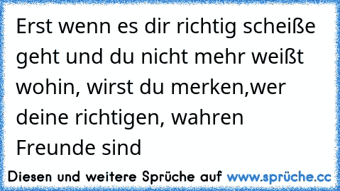 Erst wenn es dir richtig scheiße geht und du nicht mehr weißt wohin, wirst du merken,wer deine richtigen, wahren Freunde sind ♥