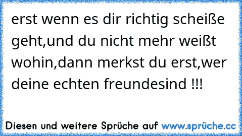 erst wenn es dir richtig scheiße geht,
und du nicht mehr weißt wohin,
dann merkst du erst,
wer deine echten freunde
sind !!!