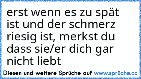 erst wenn es zu spät ist und der schmerz riesig ist, merkst du dass sie/er dich gar nicht liebt