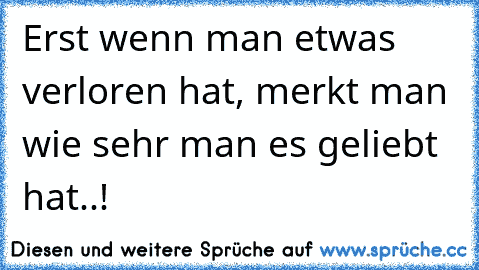 Erst wenn man etwas verloren hat, merkt man wie sehr man es geliebt hat..!