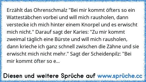 Erzählt das Ohrenschmalz "Bei mir kommt öfters so ein Wattestäbchen vorbei und will mich rausholen, dann verstecke ich mich hinter einem Knorpel und es erwischt mich nicht." Darauf sagt der Karies: "Zu mir kommt zweimal täglich eine Bürste und will mich rausholen, dann krieche ich ganz schnell zwischen die Zähne und sie erwischt mich nicht mehr." Sagt der Scheidenpilz: "Bei mir kommt öfter so e...