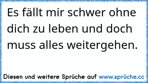 Es fällt mir schwer ohne dich zu leben und doch muss alles weitergehen.