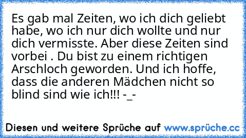 Es gab mal Zeiten, wo ich dich geliebt habe, wo ich nur dich wollte und nur dich vermisste. Aber diese Zeiten sind vorbei . Du bist zu einem richtigen Arschloch geworden. Und ich hoffe, dass die anderen Mädchen nicht so blind sind wie ich!!! -_-