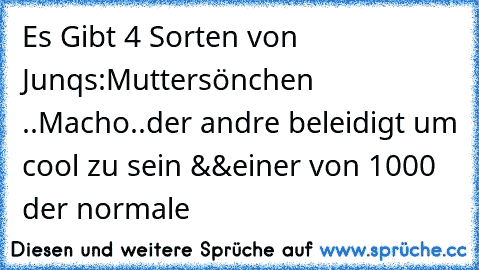 Es Gibt 4 Sorten von Junqs:
Muttersönchen ..
Macho..
der andre beleidigt um cool zu sein &&
einer von 1000 der normale ♥