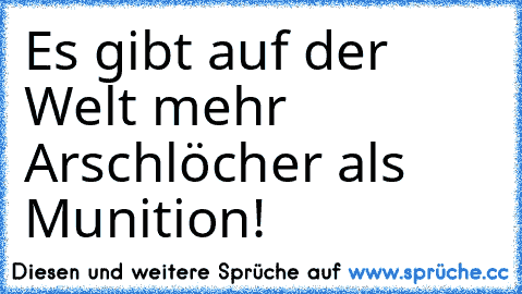 Es gibt auf der Welt mehr Arschlöcher als Munition!