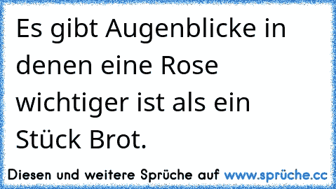 Es gibt Augenblicke in denen eine Rose wichtiger ist als ein Stück Brot.