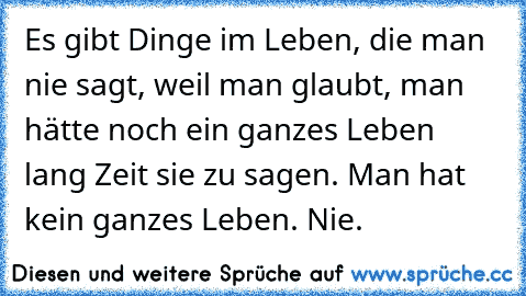 Es gibt Dinge im Leben, die man nie sagt, weil man glaubt, man hätte noch ein ganzes Leben lang Zeit sie zu sagen. Man hat kein ganzes Leben. Nie.