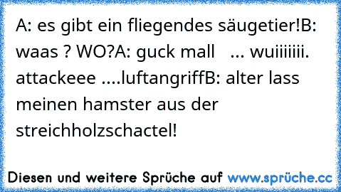 A: es gibt ein fliegendes säugetier!
B: waas ? WO?
A: guck mall   ... wuiiiiiii. attackeee ....luftangriff
B: alter lass meinen hamster aus der streichholzschactel!