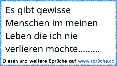 Es gibt gewisse Menschen im meinen Leben die ich nie verlieren möchte.........