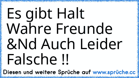 Es gibt Halt Wahre Freunde &Nd Auch Leider Falsche !!