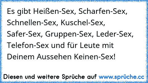 Es gibt Heißen-Sex, Scharfen-Sex, Schnellen-Sex, Kuschel-Sex, Safer-Sex, Gruppen-Sex, Leder-Sex, Telefon-Sex und für Leute mit Deinem Aussehen Keinen-Sex!