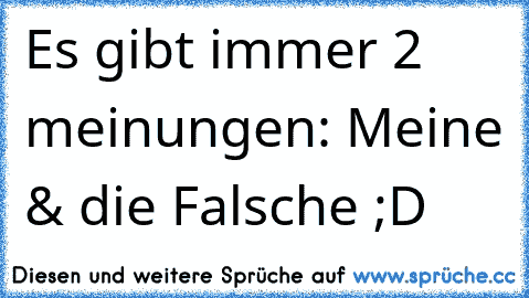 Es gibt immer 2 meinungen: Meine & die Falsche ;D