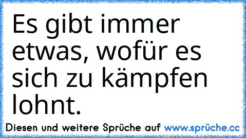 Es gibt immer etwas, wofür es sich zu kämpfen lohnt.