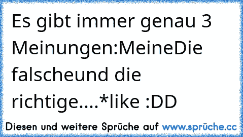 Es gibt immer genau 3 Meinungen:
Meine
Die falsche
und die richtige....
*like :DD