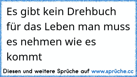 Es gibt kein Drehbuch für das Leben man muss es nehmen wie es kommt