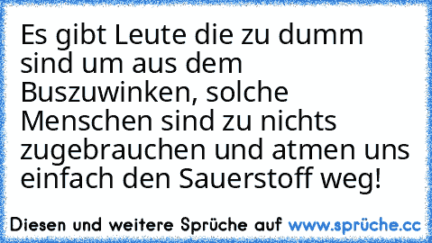 Es gibt Leute die zu dumm sind um aus dem Buszuwinken, solche Menschen sind zu nichts zugebrauchen und atmen uns einfach den Sauerstoff weg!