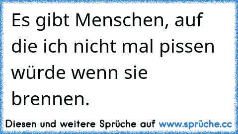 Es gibt Menschen, auf die ich nicht mal pissen würde wenn sie brennen.