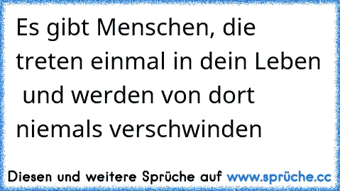 Es gibt Menschen, die treten einmal in dein Leben  und werden von dort niemals verschwinden