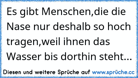 Es gibt Menschen,die die Nase nur deshalb so hoch tragen,weil ihnen das Wasser bis dorthin steht...