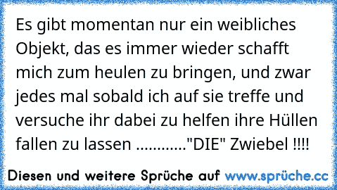 Es gibt momentan nur ein weibliches Objekt, das es immer wieder schafft mich zum heulen zu bringen, und zwar jedes mal sobald ich auf sie treffe und versuche ihr dabei zu helfen ihre Hüllen fallen zu lassen ............"DIE" Zwiebel !!!!