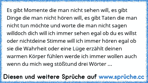 Es gibt Momente die man nicht sehen will, es gibt Dinge die man nicht hören will, es gibt Taten die man nicht tun möchte und worte die man nicht sagen will…doch dich will ich immer sehen egal ob du es willst oder nicht…deine Stimme will ich immer hören egal ob sie die Wahrheit oder eine Lüge erzählt… deinen warmen Körper fühlen werde ich immer wollen auch wenn du mich weg stößt…und drei Wörter wer...