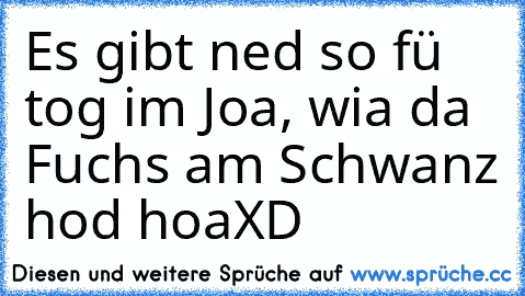 Es gibt ned so fü tog im Joa, wia da Fuchs am Schwanz hod hoa
XD