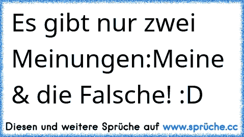 Es gibt nur zwei Meinungen:
Meine & die Falsche! :D